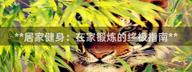 意昂2招商